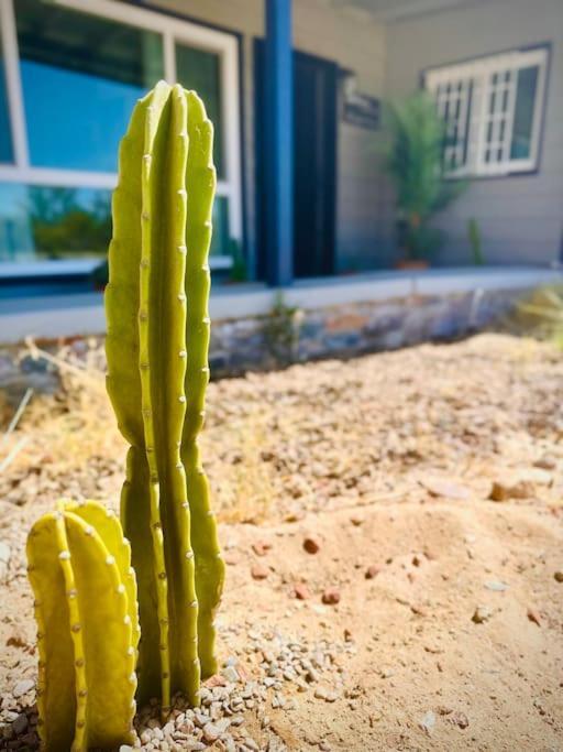 טוונטיניין פאלמס The Desert Monroe-Hot Tub-Firepit-Games-By Joshua Tree National Park מראה חיצוני תמונה